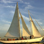 Manhattan by Sail - Adult