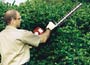 Mantis 30 Double Sided Hedge Trimmer Attachment