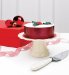 Christmas Cake & Stand