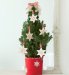 Marks and Spencer Christmas Tree Gift