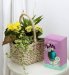 Easter Planted Basket with Egg