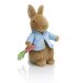 Marks and Spencer Peter Rabbit Soft Toy