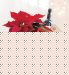 Red Poinsettia & Red Wine Basket