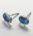 Silver Plated Abalone Stud Earrings