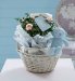 Marks and Spencers Baby Boy Rose Bush Gift
