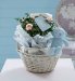Baby Boy Rose Bush Gift
