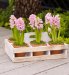 Marks and Spencers Hyacinth Planter Crate