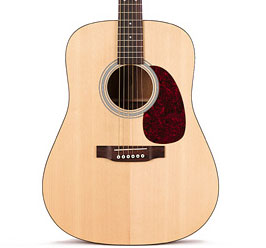 Martin D1 ACOUSTIC GUITAR