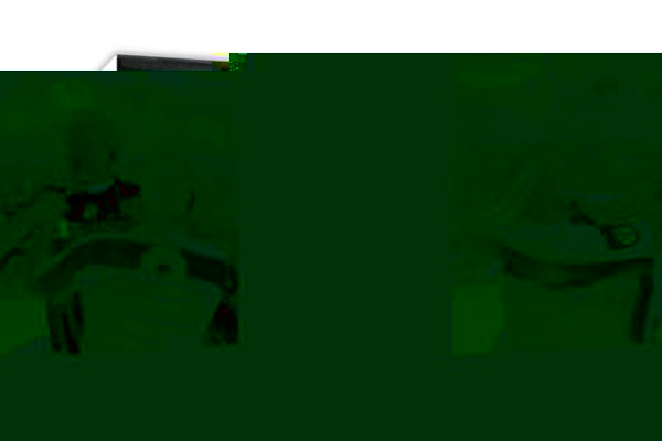 Johnson takes controland#8211; Canvas collection