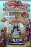 MARVEL TOYS TNA SERIES 8 Chase Stevens WRESTLING FIGURE