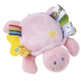 Mary Meyer TAGGIES Frog/Turtle Teether
