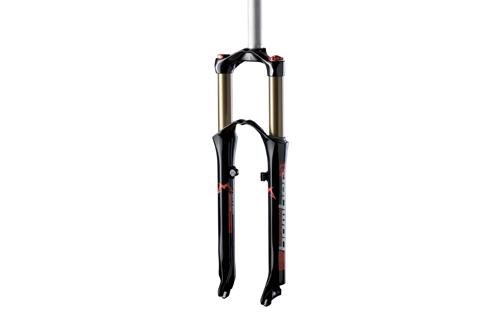 MX Comp ETA 120mm 2006 Fork