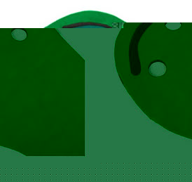 masters Golf 3 Hole Putting Mat with Hazards PE077