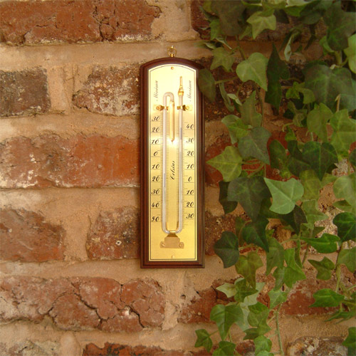 Max / Min Thermometer