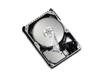 Maxtor 300 GB Maxtor Atlas Ultra320 68pin 10000rpm 8MB cache