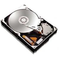 Maxtor 80GB hard disk drive DiamondMax Plus21 SATA II 300 7200rpm 8MB