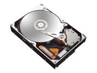 Maxtor MaxLine III 300GB 7200rpm SATA150 16mb Cache RoHS
