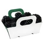 Mechinaud Blackberries