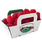 Mechinaud Raspberries