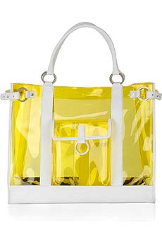 Nicolette perspex beach bag