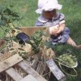 Under the Gooseberry Bush