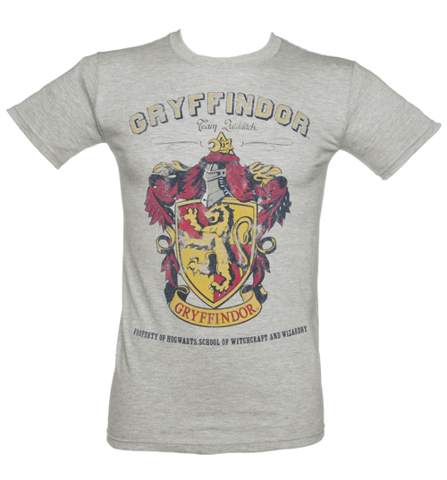 Mens Grey Harry Potter Gryffindor Team
