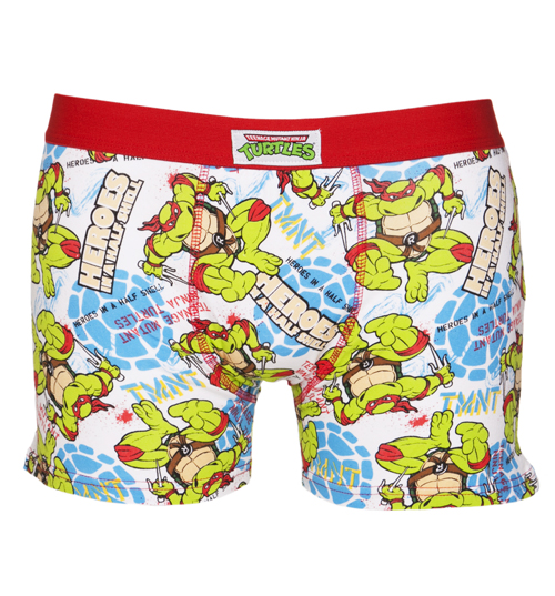 Teenage Mutant Ninja Turtles All Over