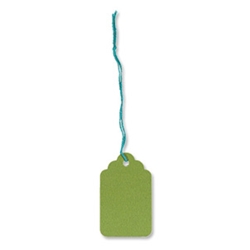 Merit Coloured Strung Tickets 48x30mm Green