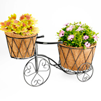 Metal Trike Planter