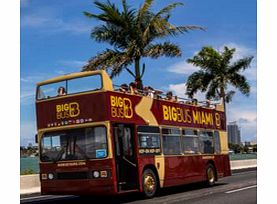 Miami All Loops Bus Tour - Child - 2 Days