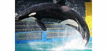 Miami Seaquarium with Transfers - Child