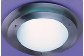 Micromark 18644 / Enigma 2 Light Energy Saving Flush Luminaire