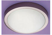Micromark 18662 / Ascot 2 Light Energy Saving Flush Luminaire