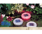 Micromark 19025 / Solar Pond Lights