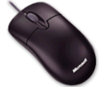 Microsoft OEM Optical- Scroller Mouse USB