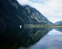 Milford Sound Nature Cruise from Queenstown -