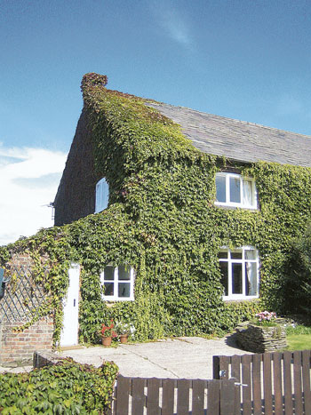 Millington Hall Cottage