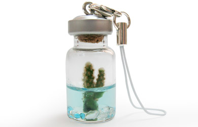 mini ature Pet Tree - A Real Plant On A Keyring