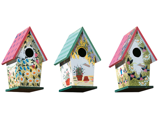 paint a bird house