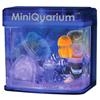 Quarium Jellyfish USB: 9 (H) x 9 (W) x 6 (D)cm - Blue
