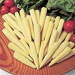 mini Vegetable Seeds - Sweet Corn Minipop F1