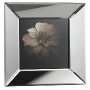 Mini Vita Mirror Framed Print