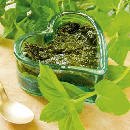 Mint Plant Collection Pack of 3 Pot Ready Plants