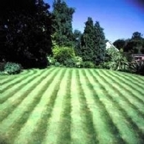 Misc Dlf Perryfields Front Lawn-No Ryegrass 10Kg