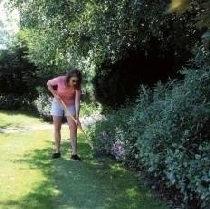 Misc Dlf Perryfields Shade Lawn 10Kg