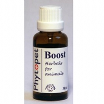 Phyto Boost - Lethargy 30Ml 3 Bottles