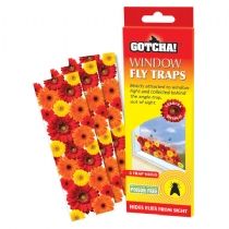 Misc Stv Window Fly Trap 3 Pieces X 6 Packs