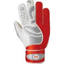 Fortress Plus GoalKeeping Glove