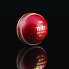 PRO Cricket Ball (C1014)