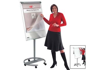 Mobile Pro filpchart easel